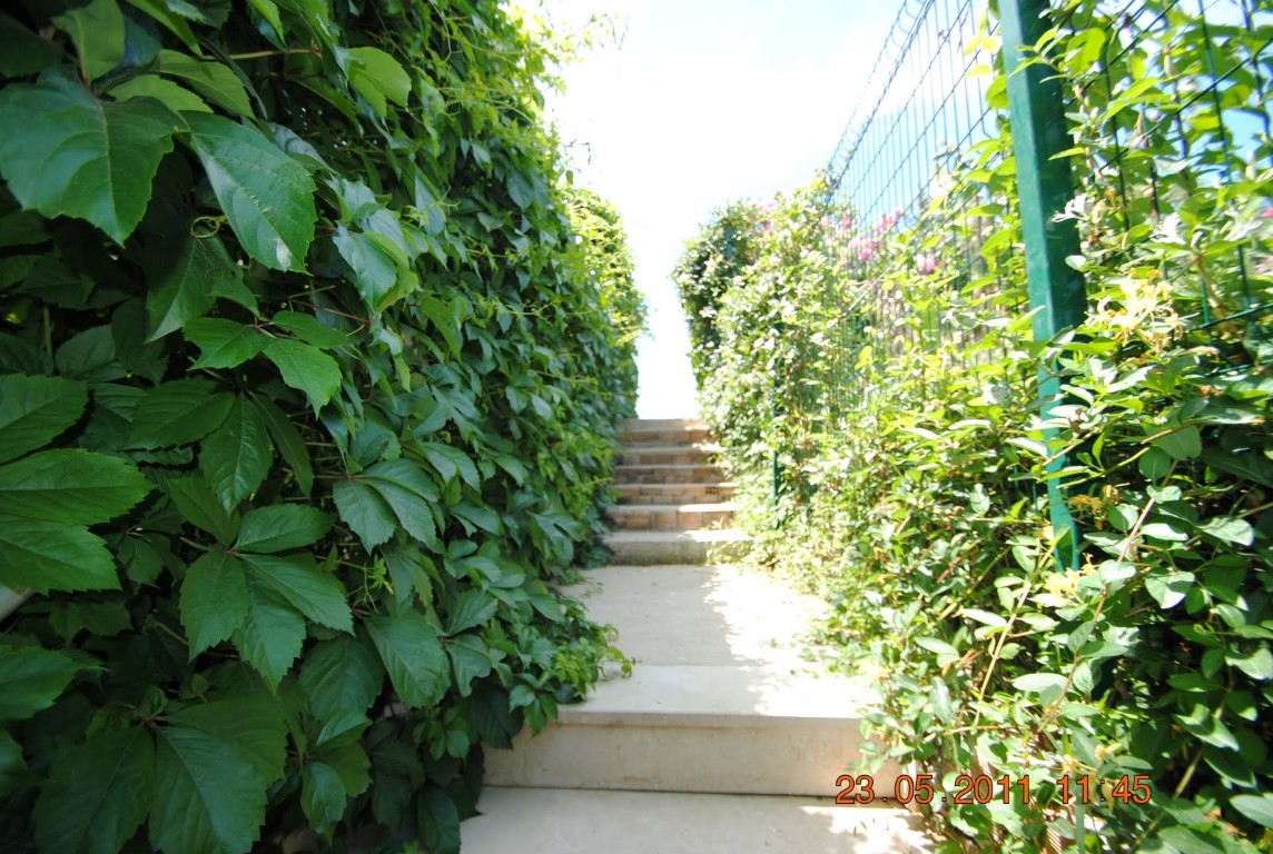 imagini hotel AMELIA BEACH RESORT SIDE